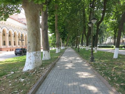 Tashkent shady street