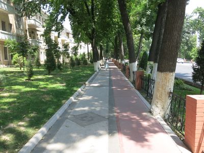 Tashkent shady street