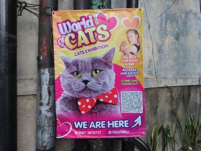 Bali Cats Exhibition