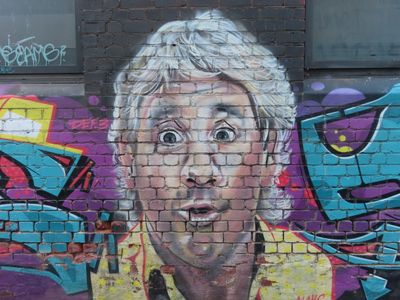 Adelaide street art Steve Irwin