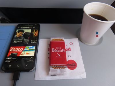 American Airlines Dallas to Los Angeles