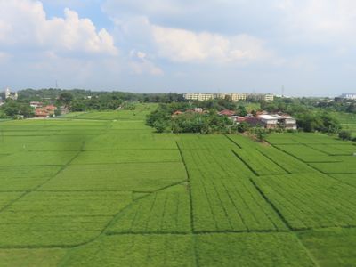 view from the Whoosh train between Jakarta and Bandung