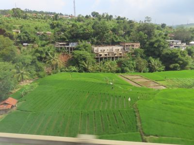 view from the Whoosh train between Jakarta and Bandung