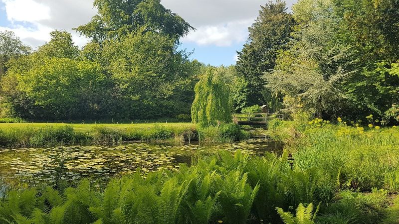 20230525_163158 (2A).jpg