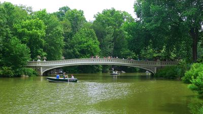 Bow bridge, Central park