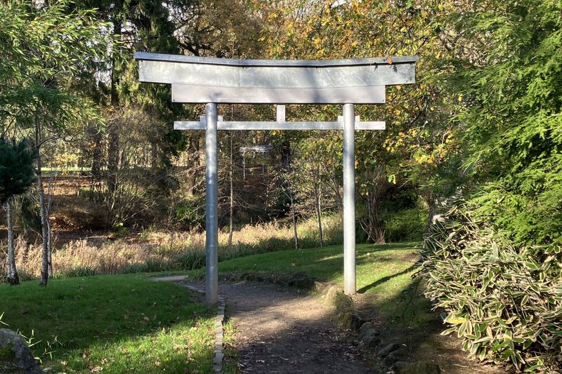 The Japanese Garden in the Dalzell Wood, Motherwell