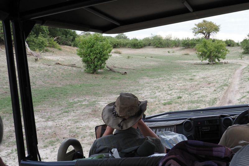 Dried river bed at Savuti