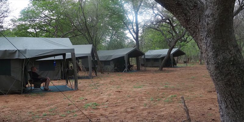 Our camp at Savuti