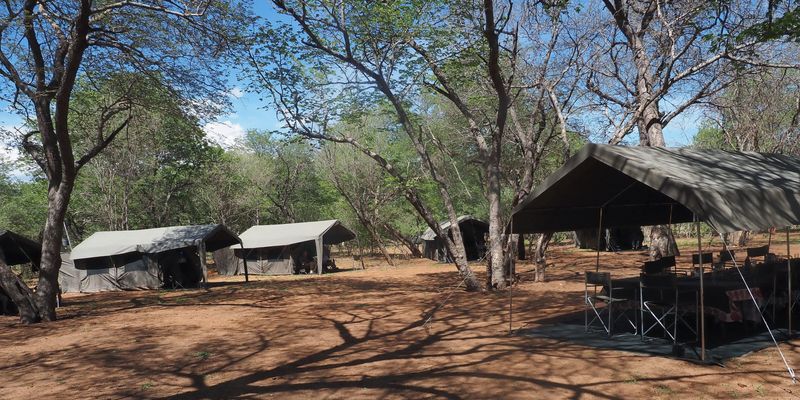 Our camp at Savuti