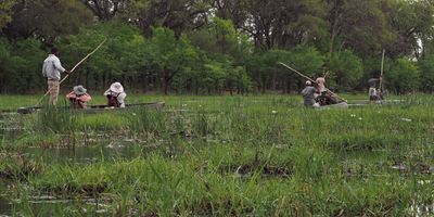 Makoro trip on the Khwai River
