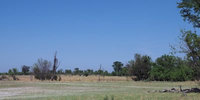 Okavango flood plain at Moremi