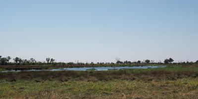 Okavango flood plain at Moremi