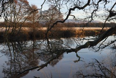 The Endrick Water at Low Mains