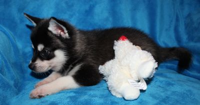 IMG_2120.JPG