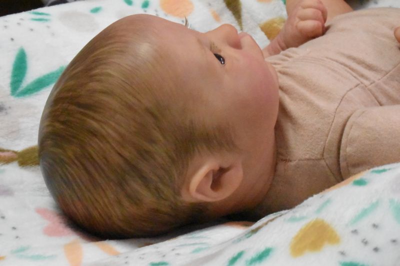 Presley Awake