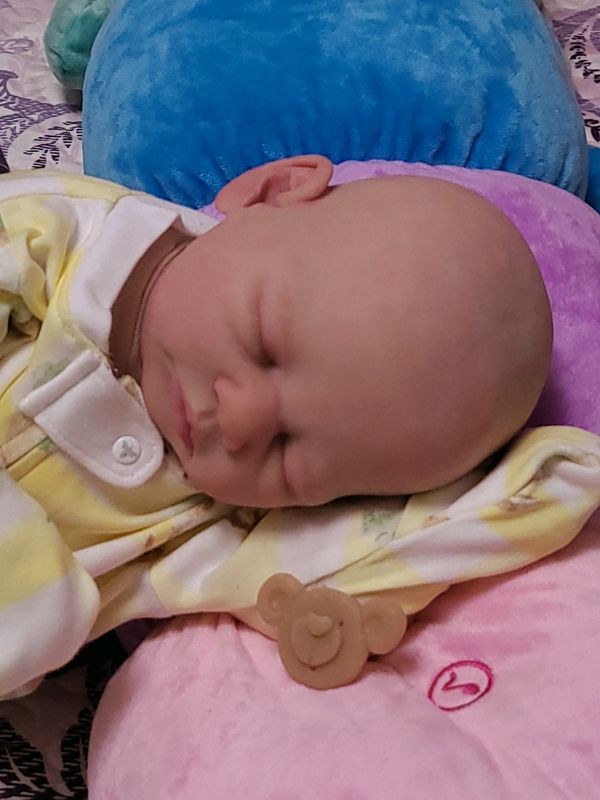 Paxton Silicone head with cloth cuddle body