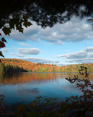 Livingstone Lake