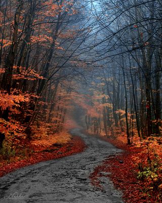 Through the Algonquin Highlands