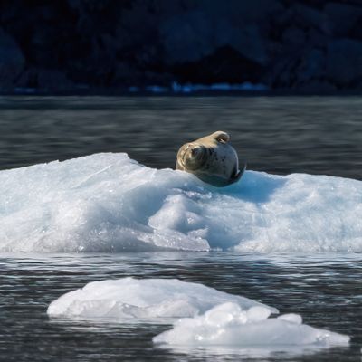Prince William Sound, Alaska