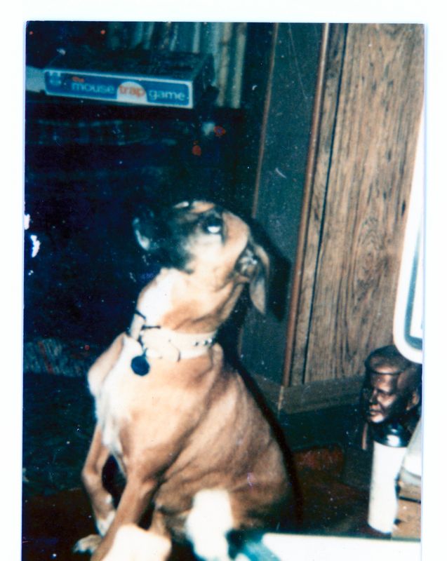 Bruska-n 0223.jpg
