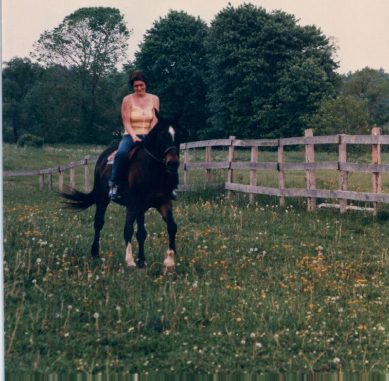 Horses0204.jpg