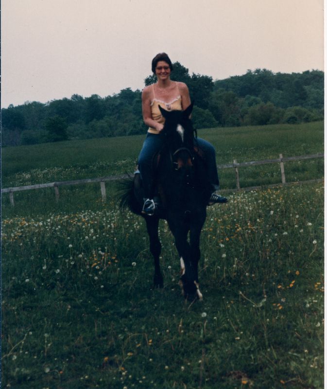 Horses0205.jpg