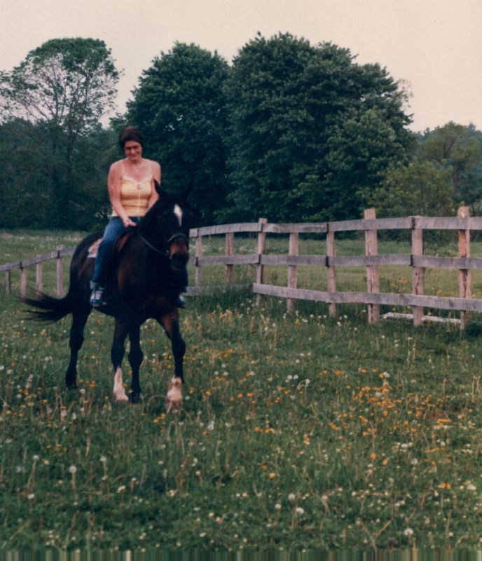Horses0206.jpg