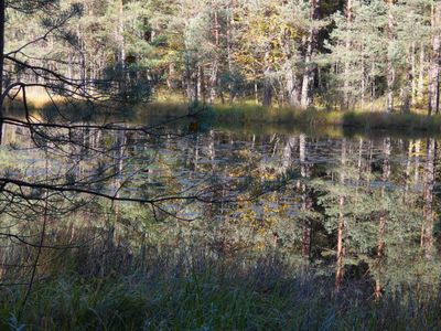 Falkenstein Castle October 2025