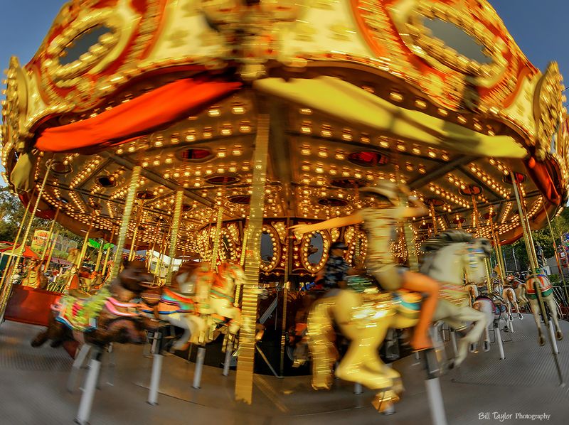 California State Fair 2008
