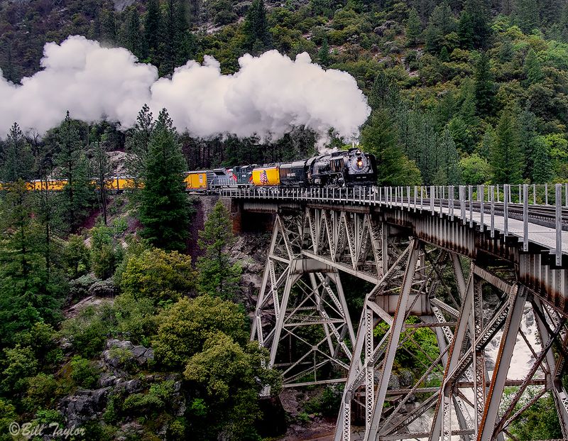 Union Pacific Steam Locomotive 844