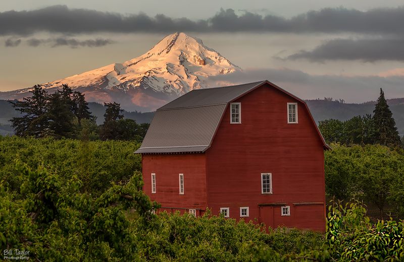Red Barn / Mount Hood , OR