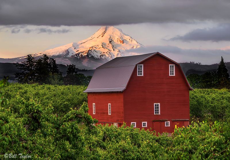 Mount Hood , OR