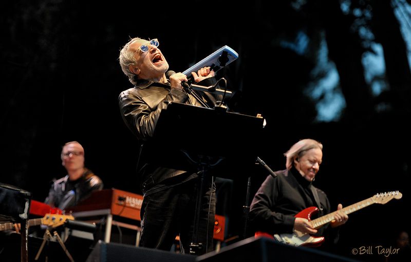 Hardly Strictly Bluegrass 2010