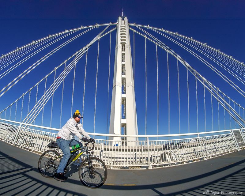 Biking on the Bay bridge trail