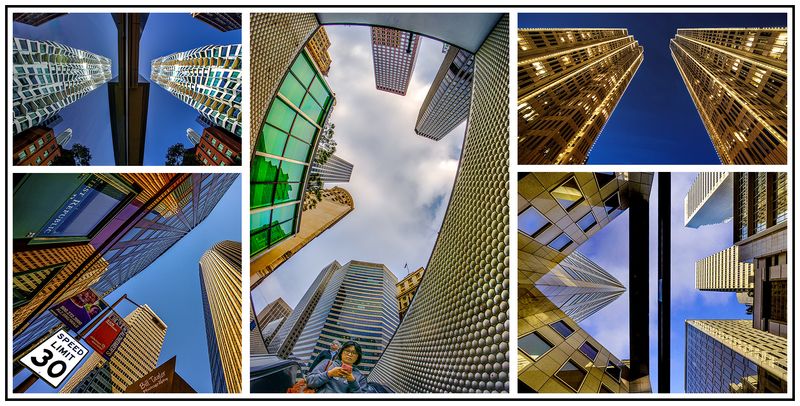 🏙️  Looking Up 🏙️ 