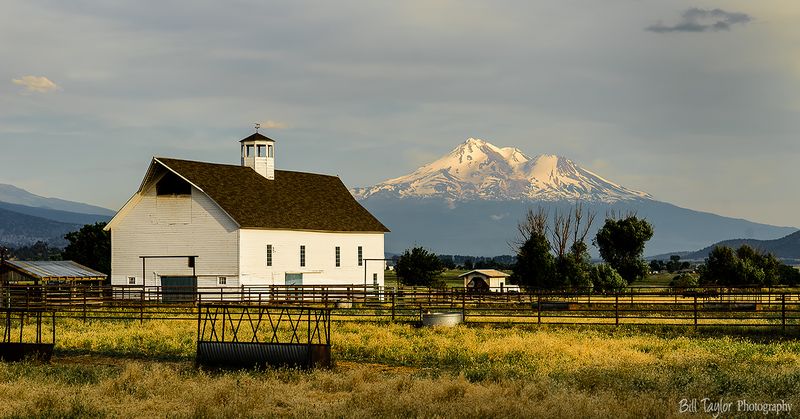 Little Shasta ,Ca