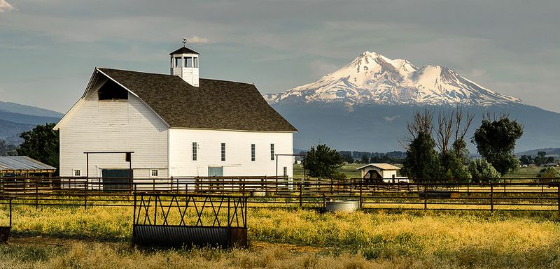 Little Shasta ,Ca