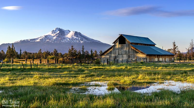 Mt. Shasta