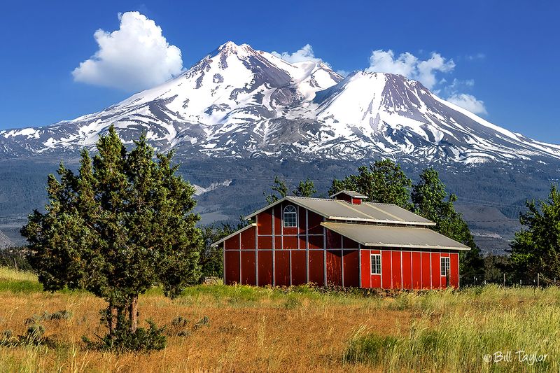 Mt. Shasta / Big Springs,Ca