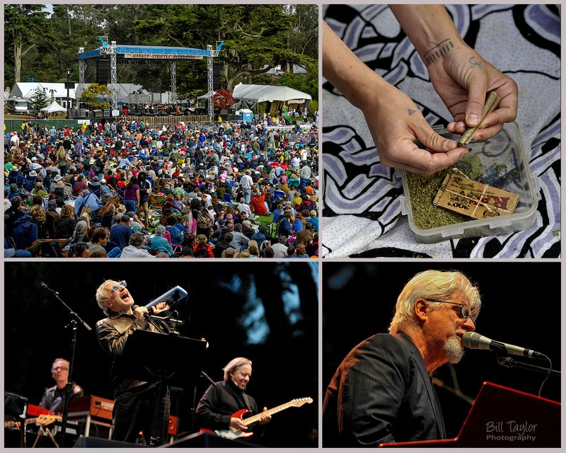 Hardly Strictly Bluegrass 2010