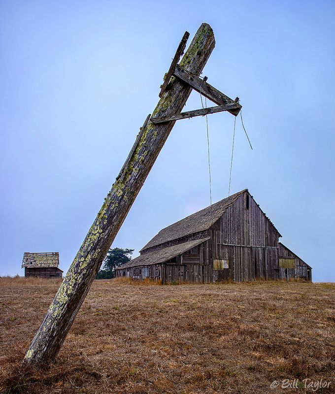 Mendocino Coast