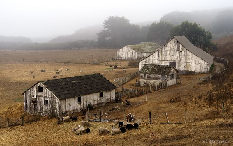 Farming at Mendocino County