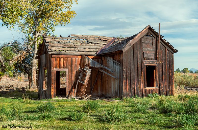 Abandoned House