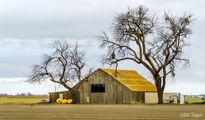 Woodland,Ca