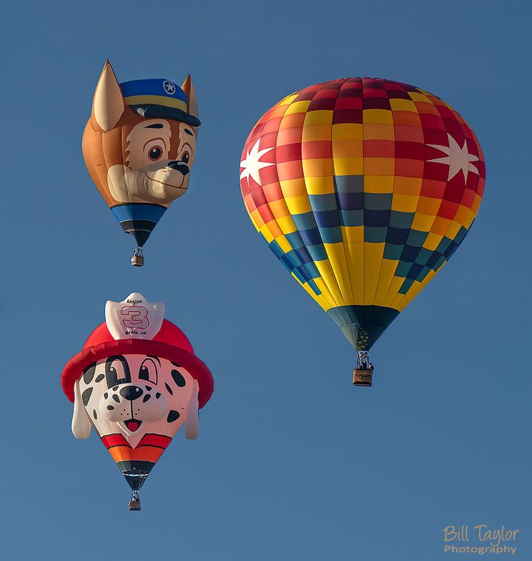 The Great Reno Balloon Race 2024