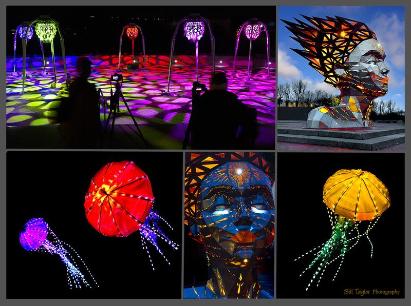 Napa Lighted Art Festival