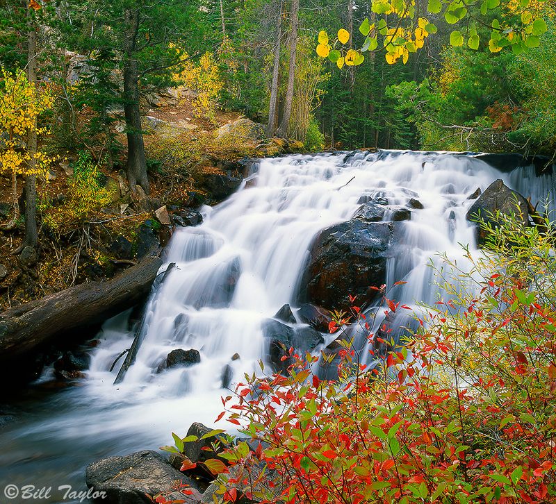 Lee Vining Canyon