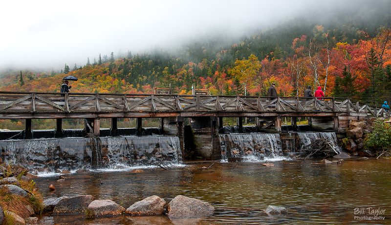 Willey Pond Dam