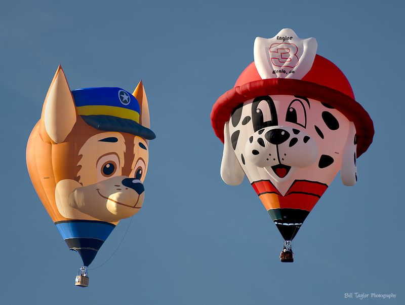 Police Dog visiting Fire Dog