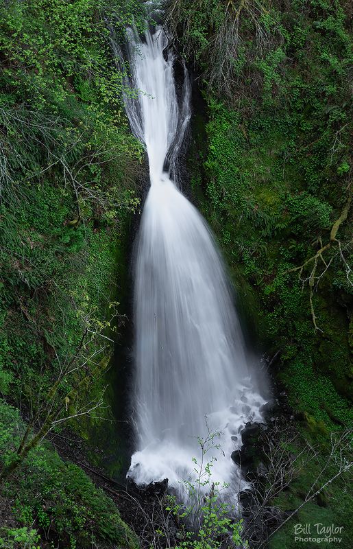 Oregon
